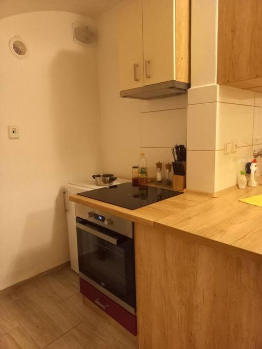 Apartmán Bytova Jednotka V Tabore Luznicka 423 Exteriér fotografie